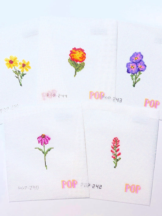 Wildflower Mini - Indian Paintbrush