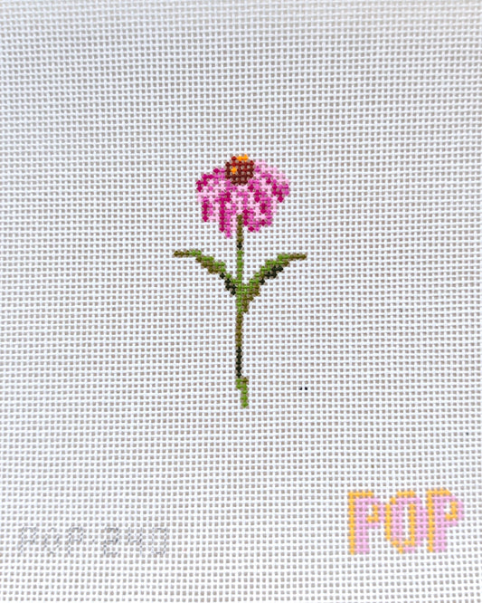 Wildflower Mini - Coneflower