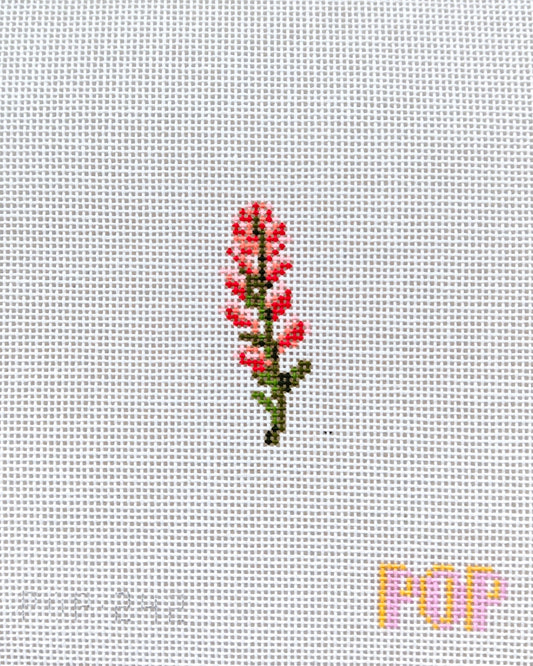Wildflower Mini - Indian Paintbrush
