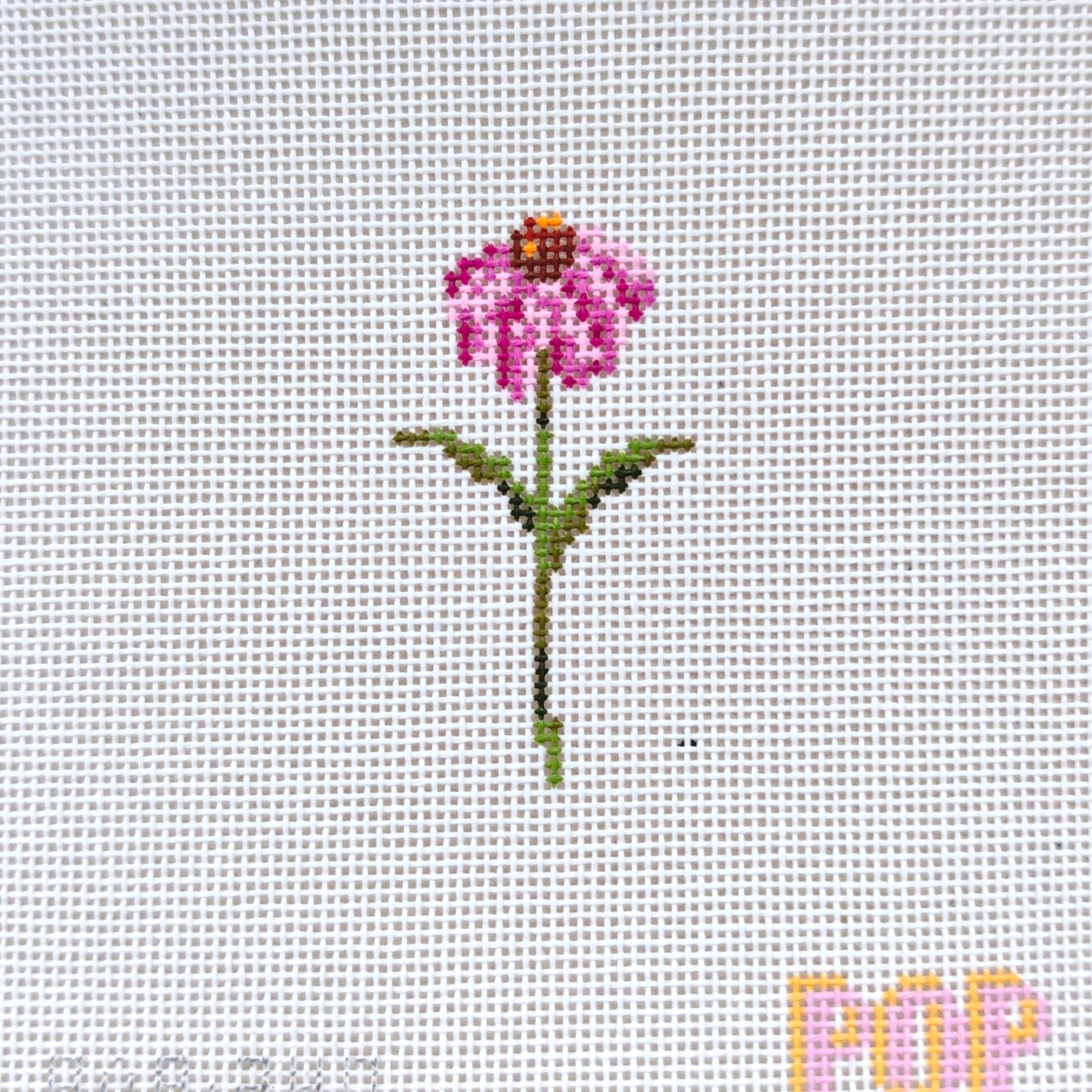 Wildflower Mini - Coneflower
