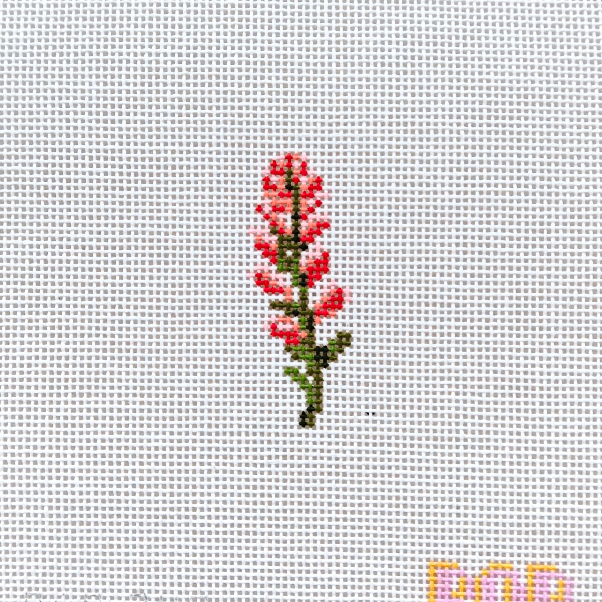Wildflower Mini - Indian Paintbrush