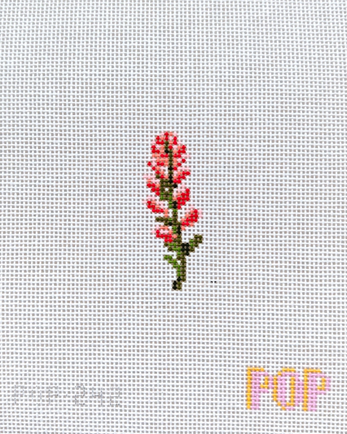 Wildflower Mini - Indian Paintbrush